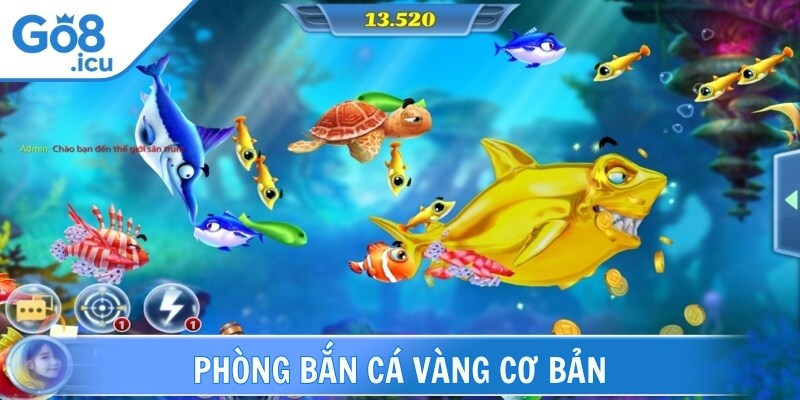 Phòng cơ bản là sảnh chơi lý tưởng cho người mới bắt đầu