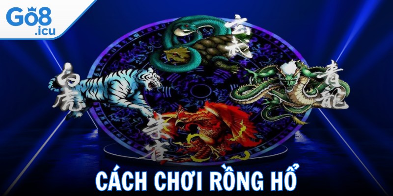 Cách Chơi Rồng Hổ Dễ Hiểu, Chính Xác Cho Bạn Mới Nhập Môn