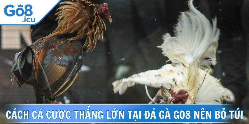 Khi tham gia anh em cần có chiến lược quản lý vốn thông minh