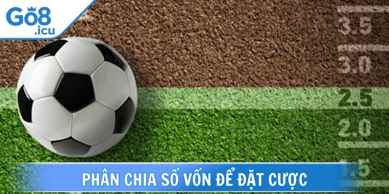 Chia sẻ bí kíp soi kèo Châu Âu thắng lớn từ cao thủ