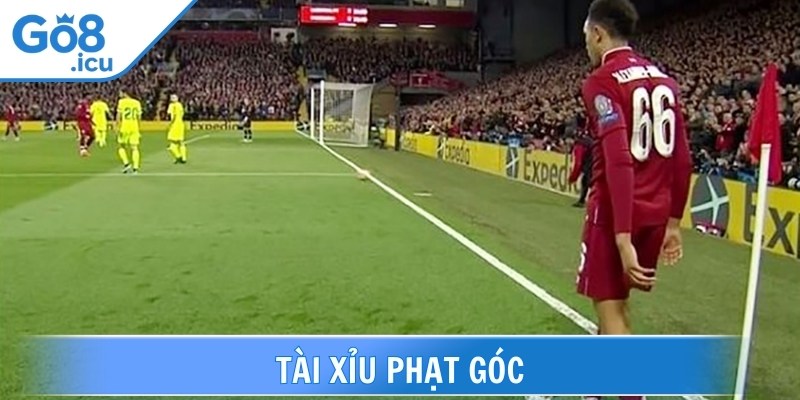 Những loại kèo phạt góc được bet thủ lựa chọn nhiều nhất