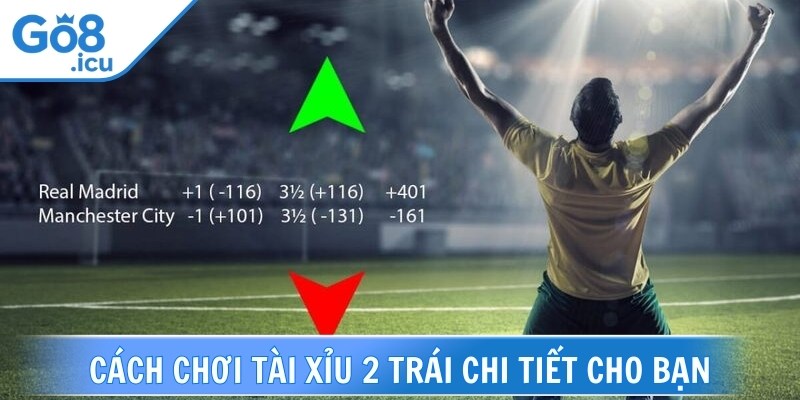 Cách chơi tài xỉu 2 trái chi tiết cho bạn