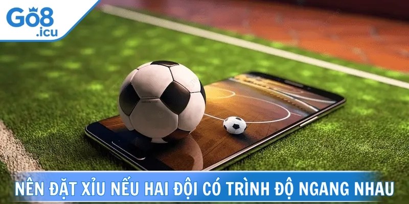 Bỏ túi các kinh nghiệm chơi tài xỉu 2 trái