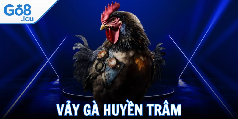 Vảy Gà Huyền Trâm - Kho Báu Bí Ẩn Của Các Chiến Kê
